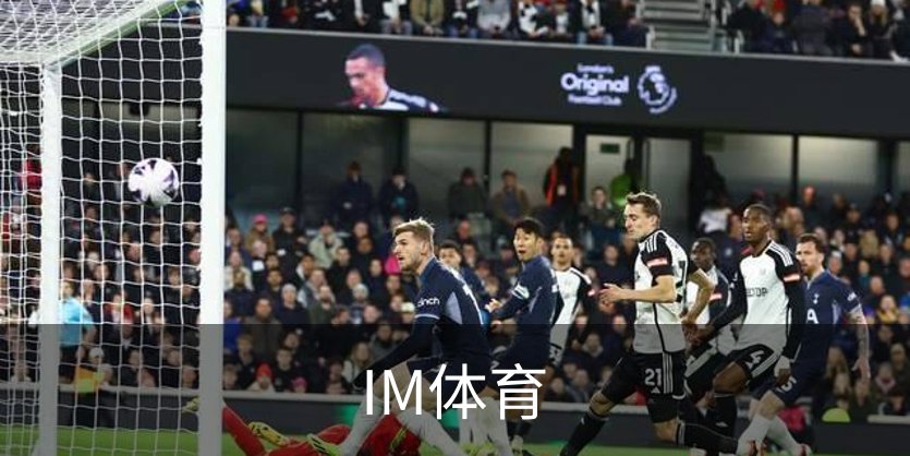 IM体育品牌故事